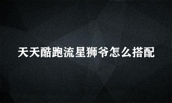 天天酷跑流星狮爷怎么搭配