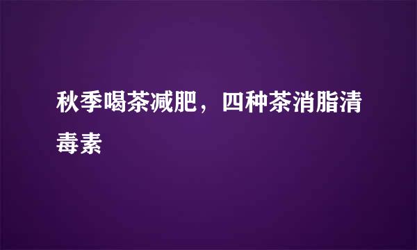秋季喝茶减肥，四种茶消脂清毒素