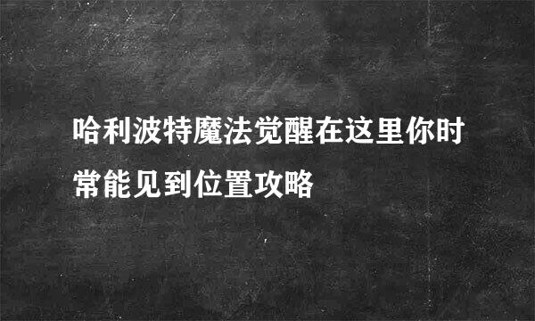 哈利波特魔法觉醒在这里你时常能见到位置攻略