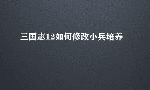 三国志12如何修改小兵培养
