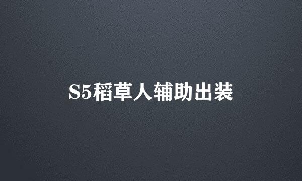S5稻草人辅助出装