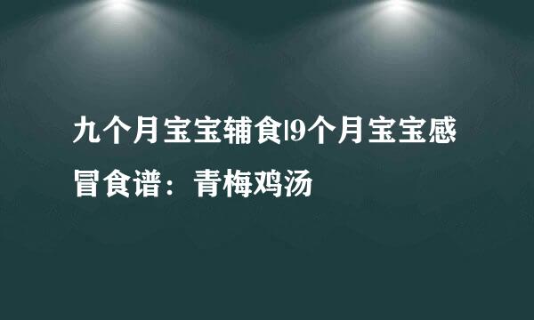 九个月宝宝辅食|9个月宝宝感冒食谱：青梅鸡汤