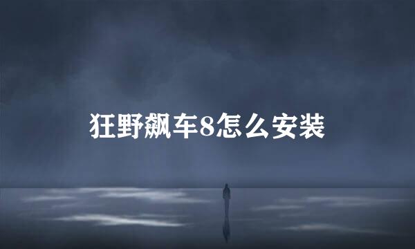 狂野飙车8怎么安装