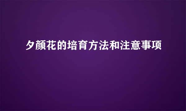 夕颜花的培育方法和注意事项