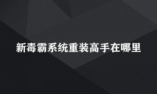 新毒霸系统重装高手在哪里
