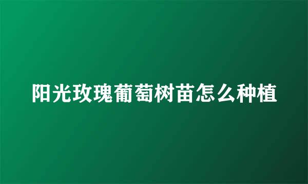阳光玫瑰葡萄树苗怎么种植
