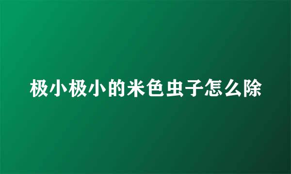 极小极小的米色虫子怎么除