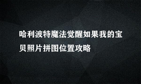 哈利波特魔法觉醒如果我的宝贝照片拼图位置攻略