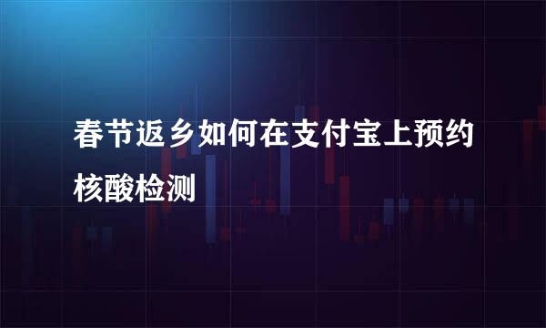 春节返乡如何在支付宝上预约核酸检测