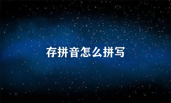 存拼音怎么拼写