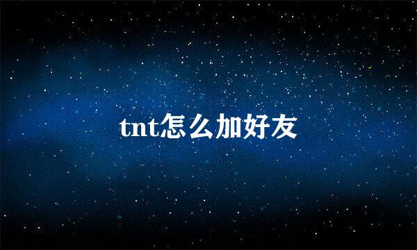tnt怎么加好友
