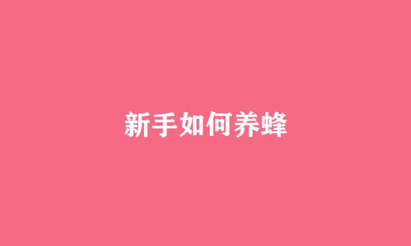 新手如何养蜂