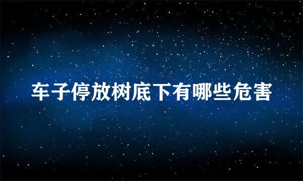 车子停放树底下有哪些危害