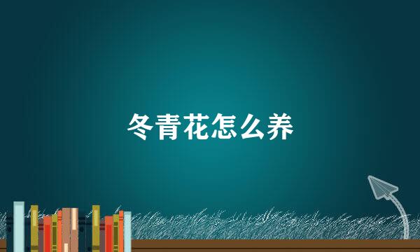 冬青花怎么养