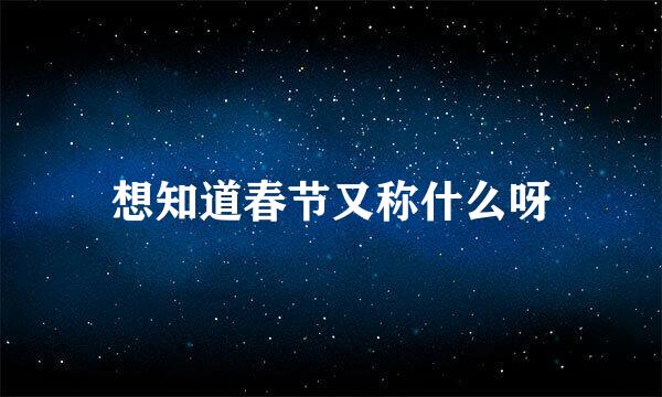 想知道春节又称什么呀