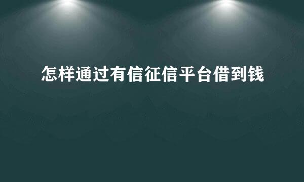 怎样通过有信征信平台借到钱