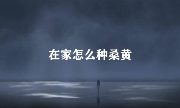 在家怎么种桑黄