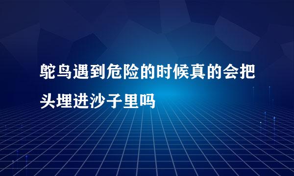 鸵鸟遇到危险的时候真的会把头埋进沙子里吗