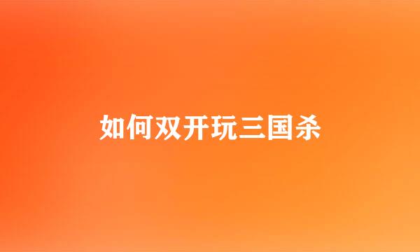 如何双开玩三国杀