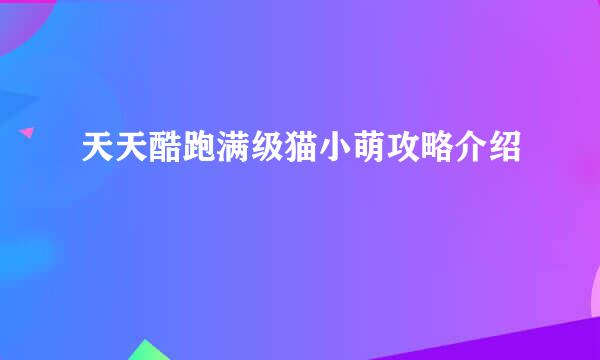 天天酷跑满级猫小萌攻略介绍