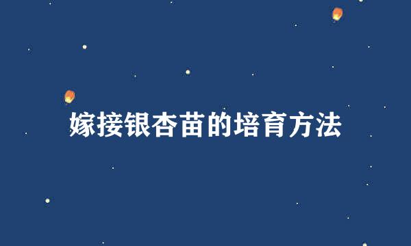 嫁接银杏苗的培育方法