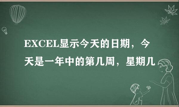 EXCEL显示今天的日期，今天是一年中的第几周，星期几