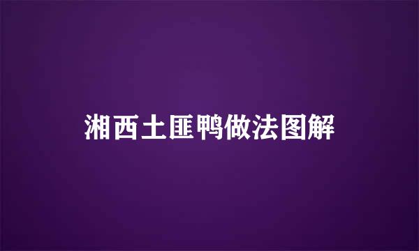 湘西土匪鸭做法图解