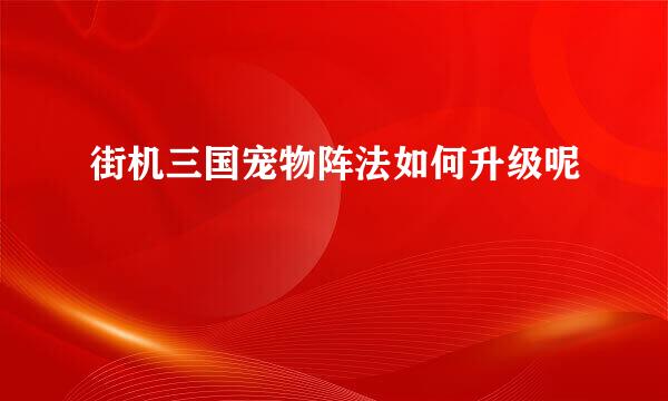 街机三国宠物阵法如何升级呢