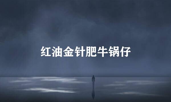 红油金针肥牛锅仔