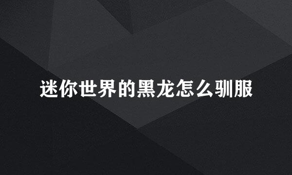 迷你世界的黑龙怎么驯服
