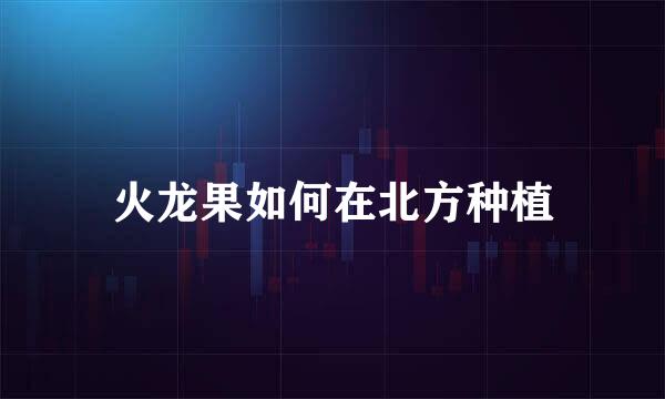 火龙果如何在北方种植