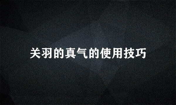 关羽的真气的使用技巧