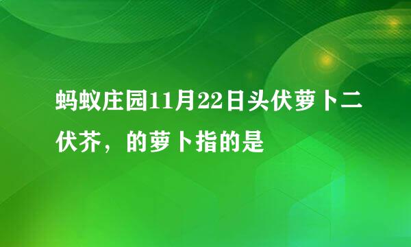 蚂蚁庄园11月22日头伏萝卜二伏芥，的萝卜指的是
