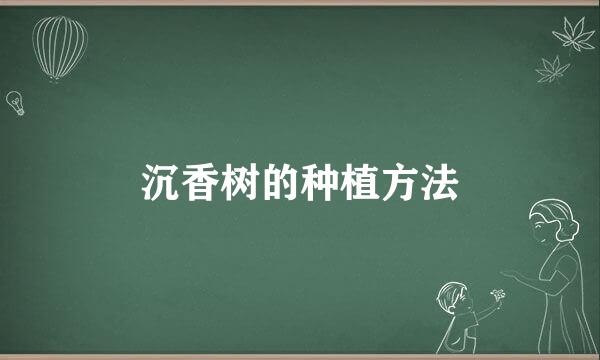 沉香树的种植方法