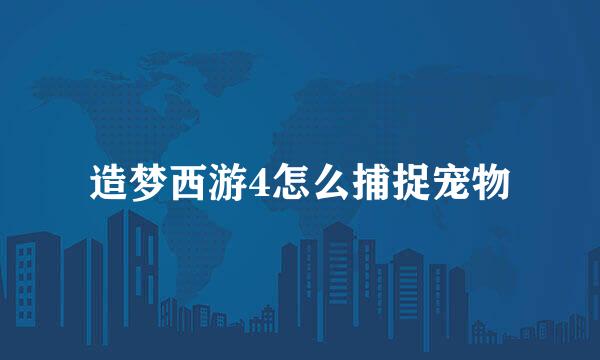 造梦西游4怎么捕捉宠物