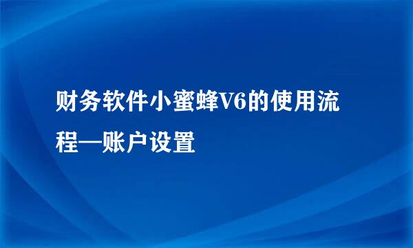 财务软件小蜜蜂V6的使用流程—账户设置