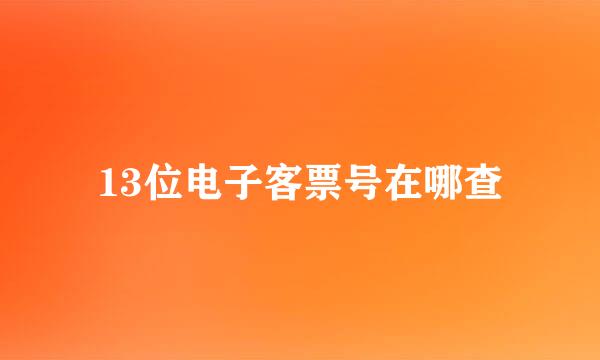 13位电子客票号在哪查