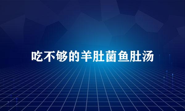 吃不够的羊肚菌鱼肚汤