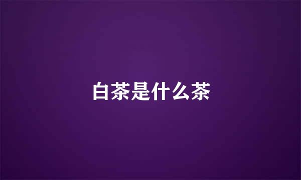 白茶是什么茶