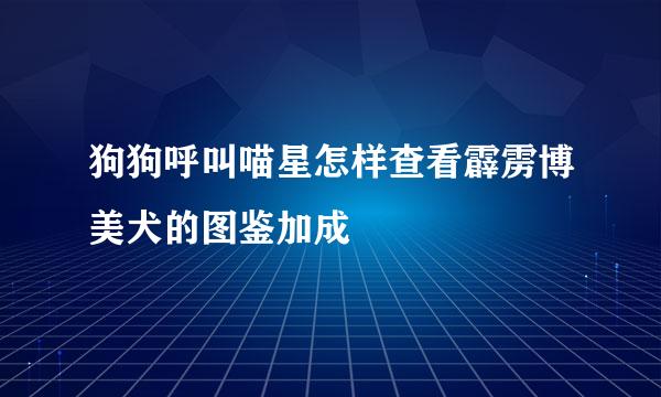 狗狗呼叫喵星怎样查看霹雳博美犬的图鉴加成