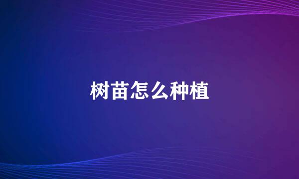 树苗怎么种植
