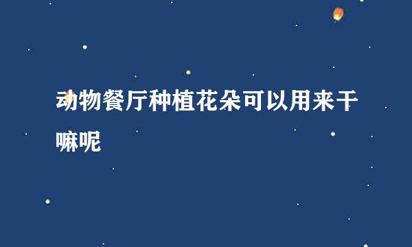 动物餐厅种植花朵可以用来干嘛呢