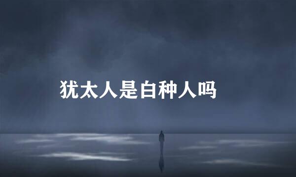 犹太人是白种人吗﹖