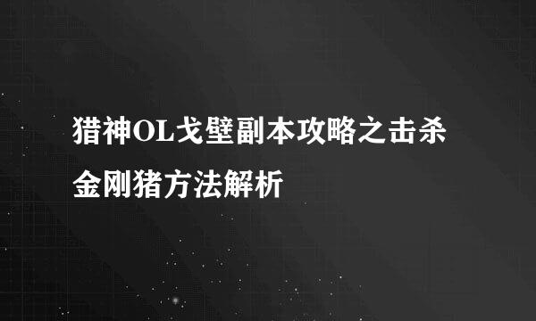 猎神OL戈壁副本攻略之击杀金刚猪方法解析