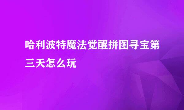 哈利波特魔法觉醒拼图寻宝第三天怎么玩