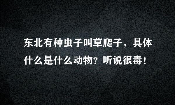 东北有种虫子叫草爬子，具体什么是什么动物？听说很毒！
