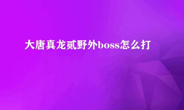 大唐真龙贰野外boss怎么打