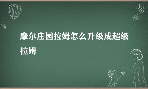 摩尔庄园拉姆怎么升级成超级拉姆