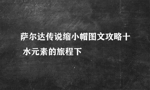 萨尔达传说缩小帽图文攻略十 水元素的旅程下
