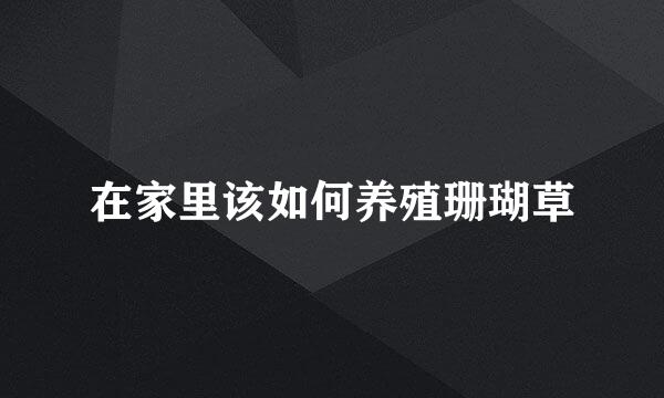 在家里该如何养殖珊瑚草